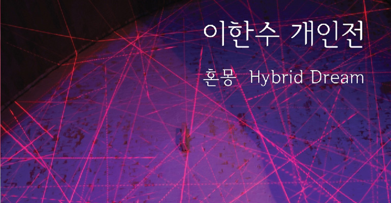 이한수 개인전_ 혼몽 Hybrid Dream